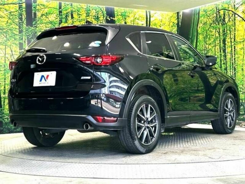 CX-5-17