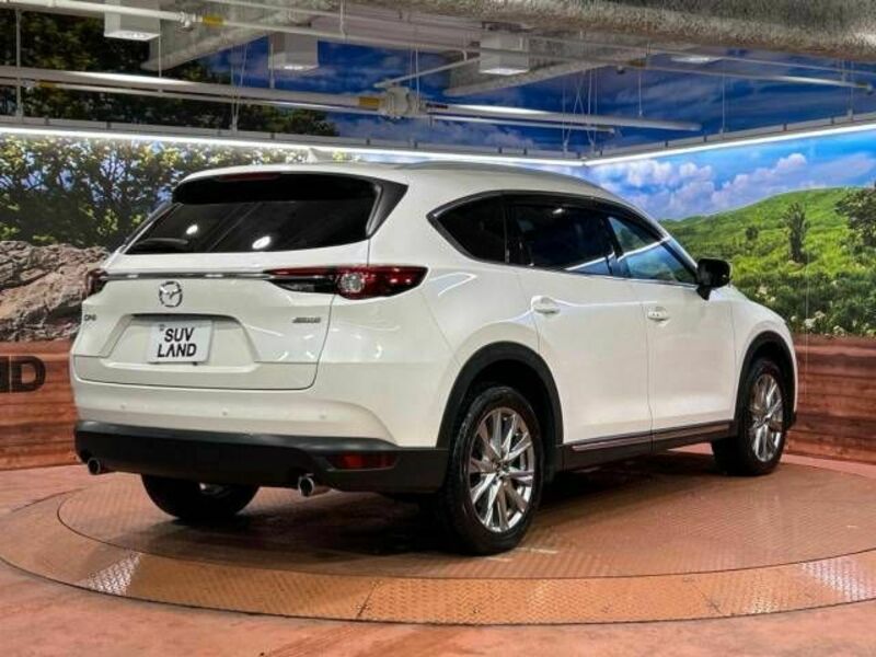 CX-8-18