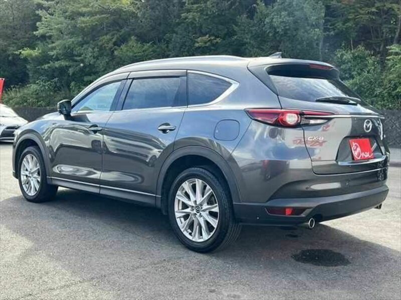 CX-8-17