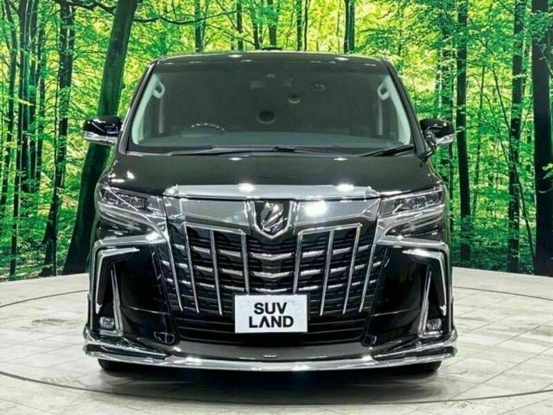 ALPHARD-15