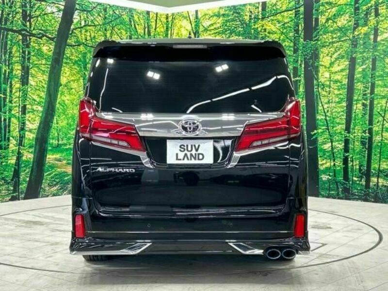 ALPHARD-16