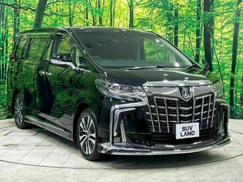 ALPHARD-17