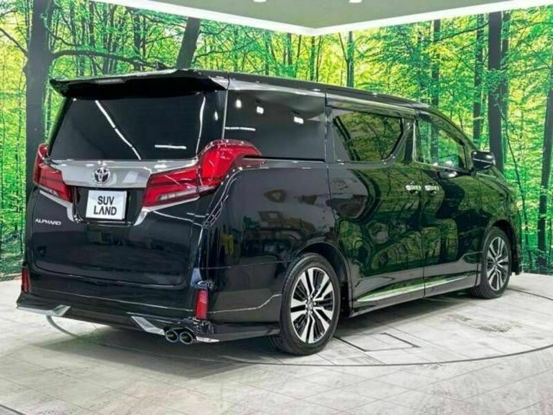 ALPHARD-18