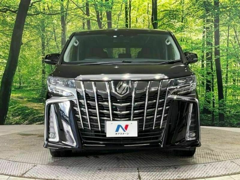 ALPHARD-15