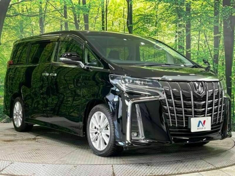 ALPHARD-17