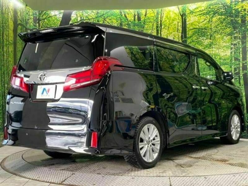 ALPHARD-18