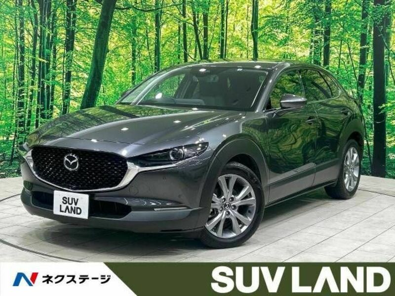 CX-30