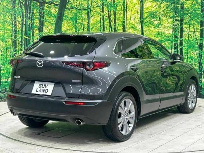 CX-30-17