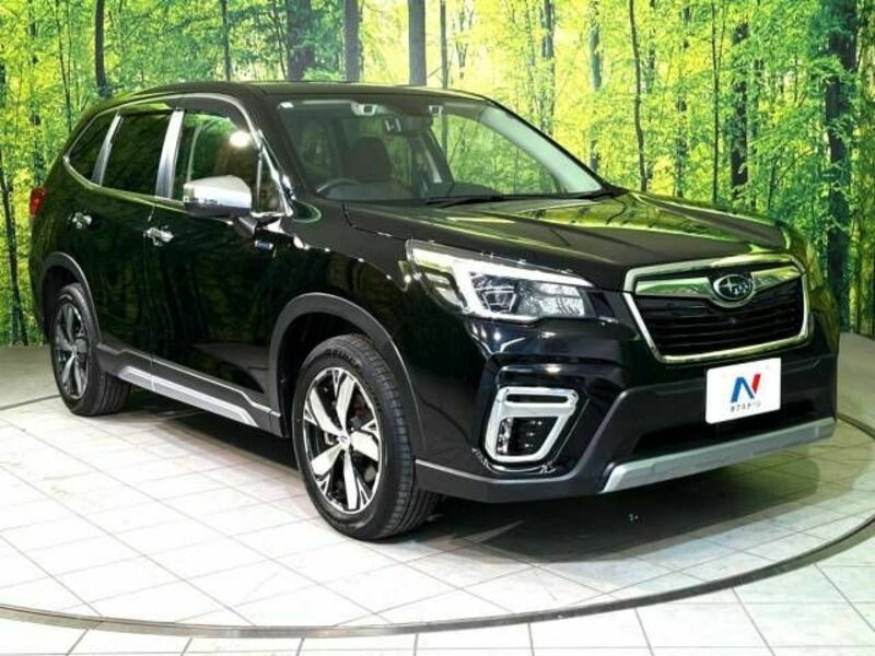 FORESTER-16