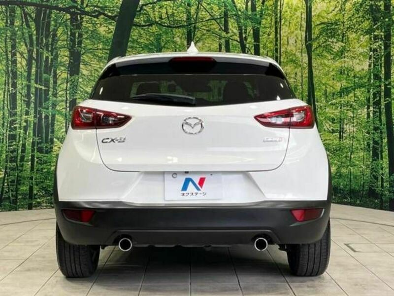 CX-3-15