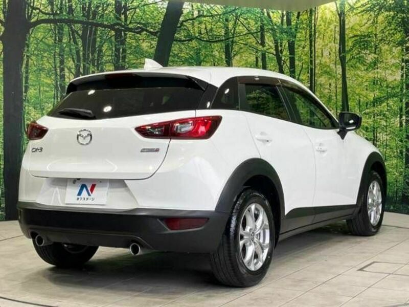 CX-3-17