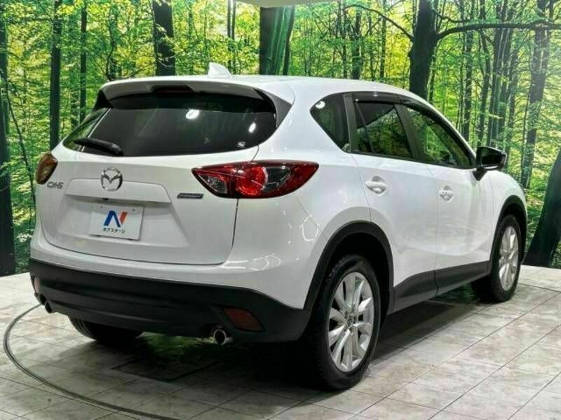 CX-5-17