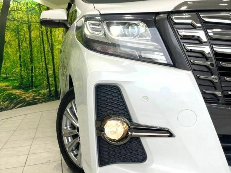 ALPHARD-12