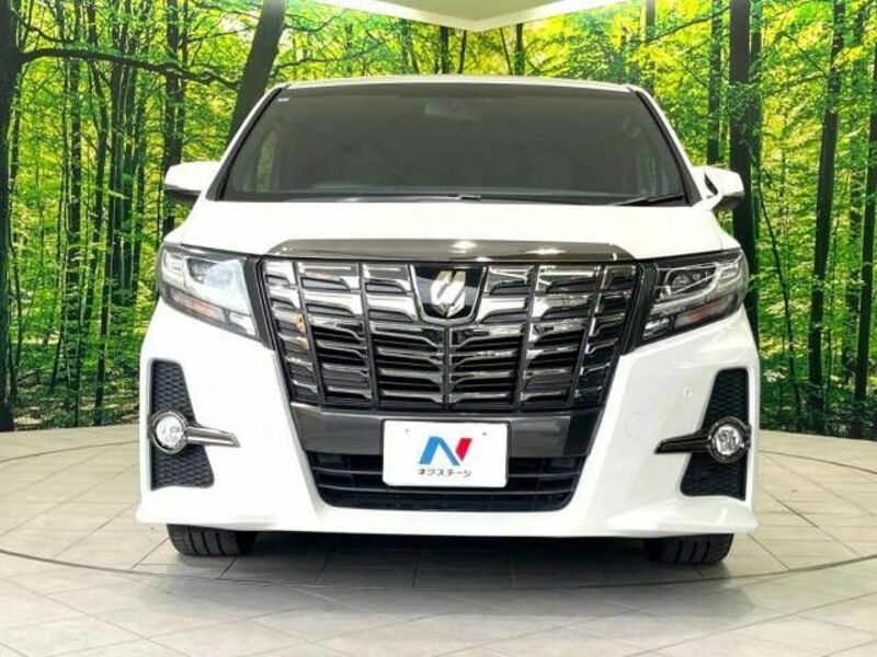 ALPHARD-14