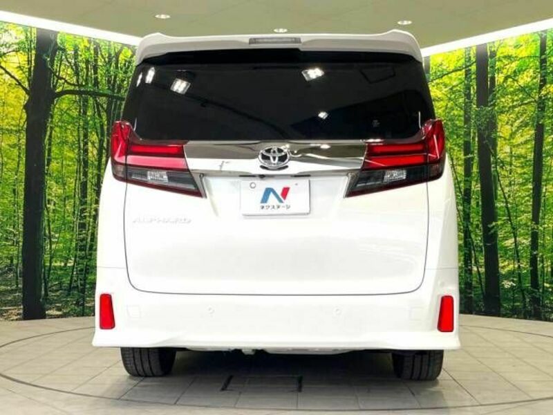 ALPHARD-15