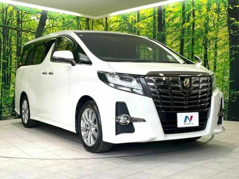 ALPHARD-16