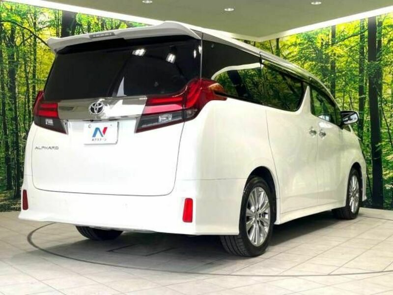 ALPHARD-17