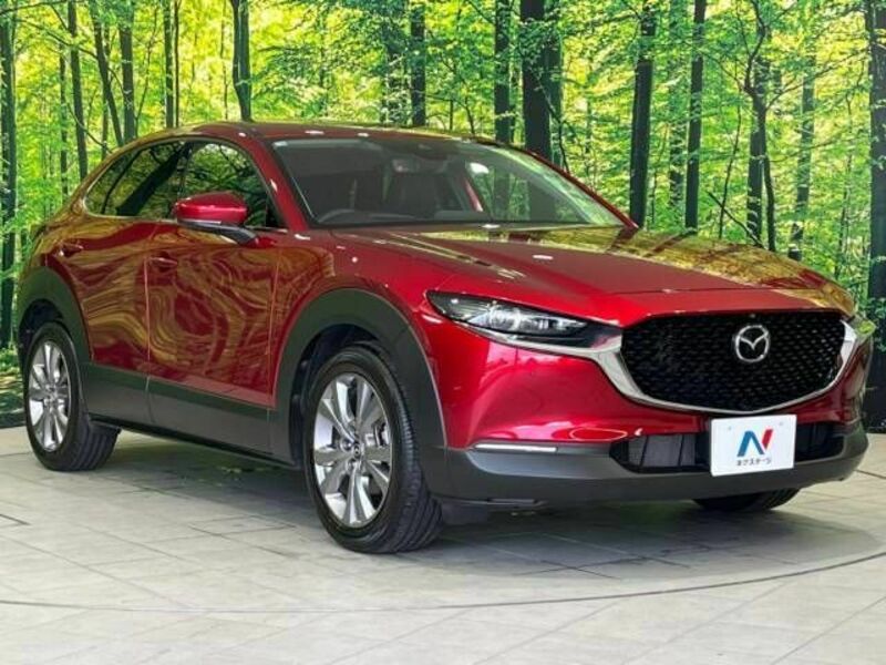 CX-30-16