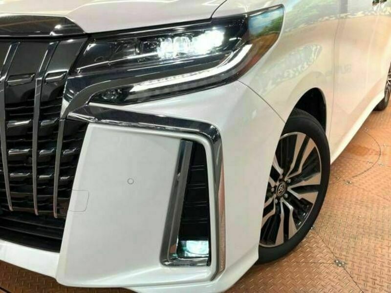 ALPHARD-15