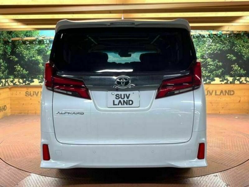 ALPHARD-18