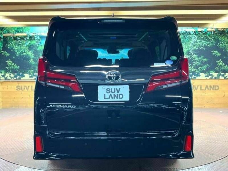 ALPHARD-18