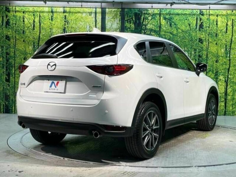 CX-5-17