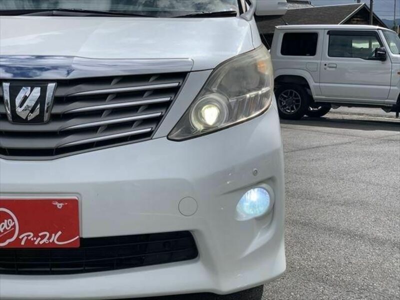 ALPHARD-25