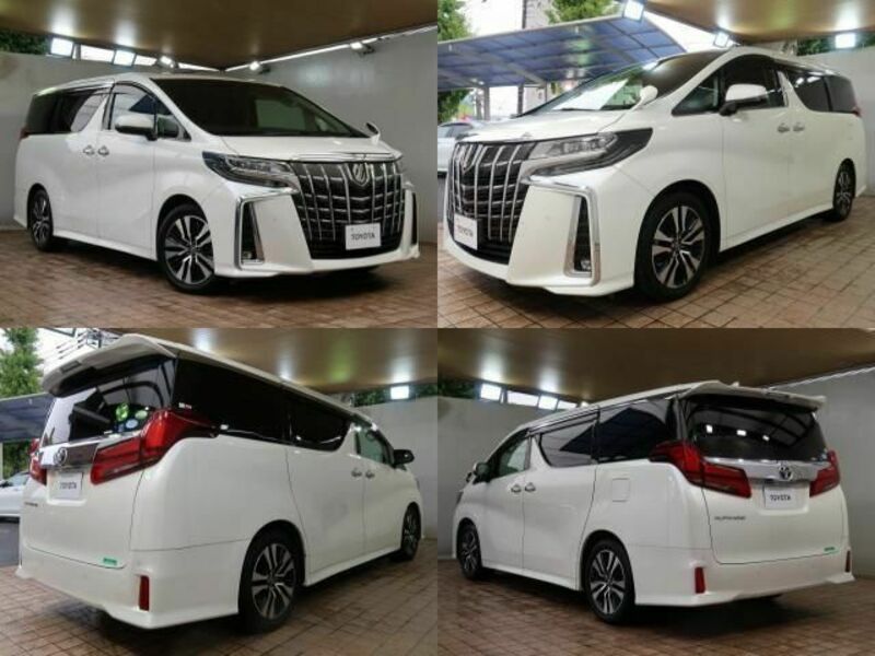 ALPHARD-1