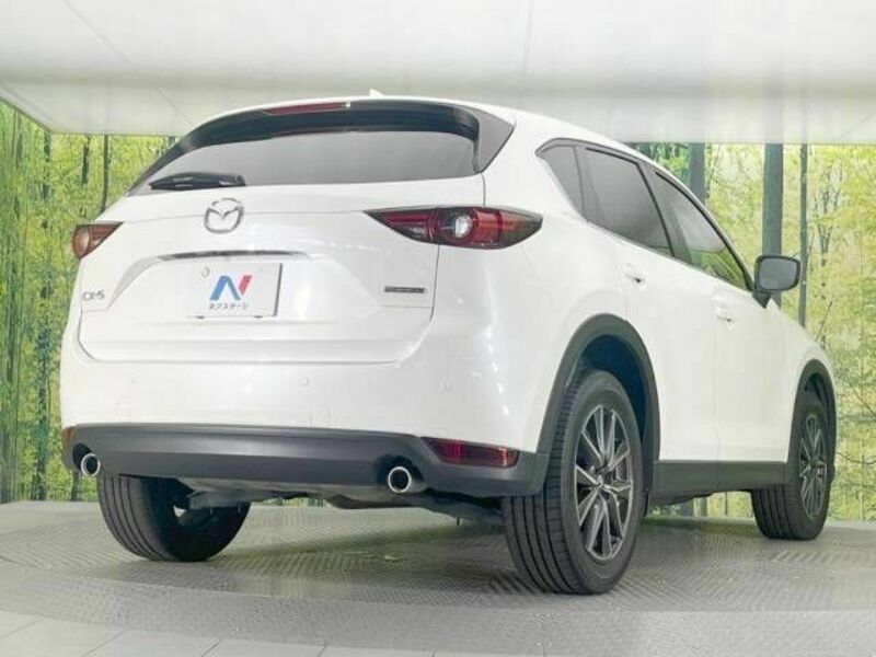 CX-5-17