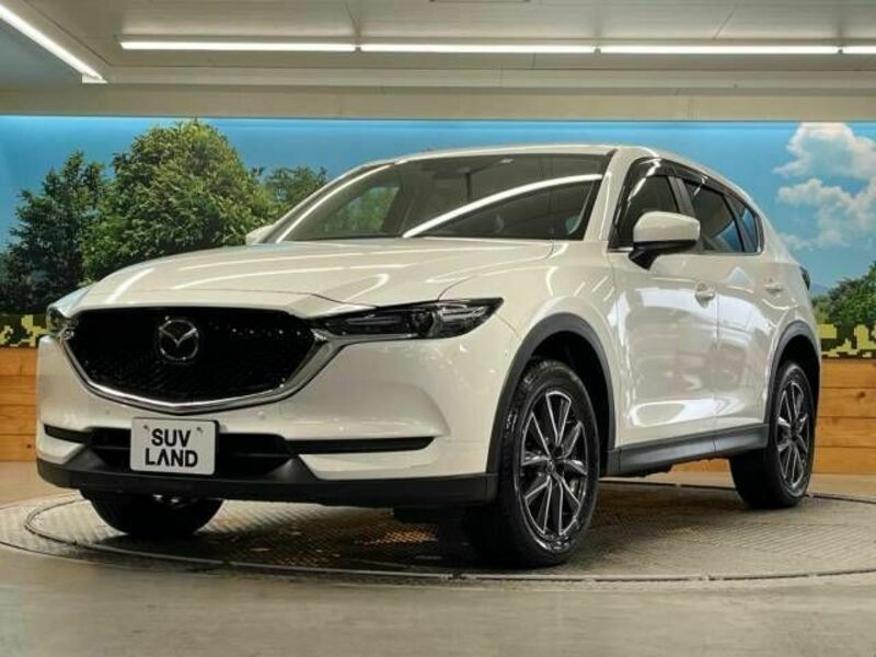 CX-5-19