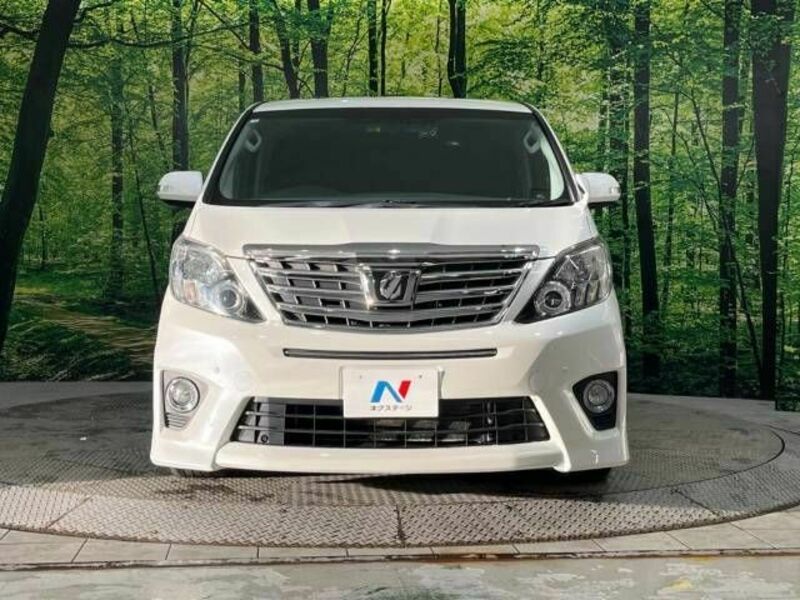 ALPHARD-15