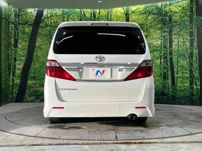 ALPHARD-16