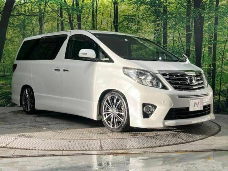 ALPHARD-17