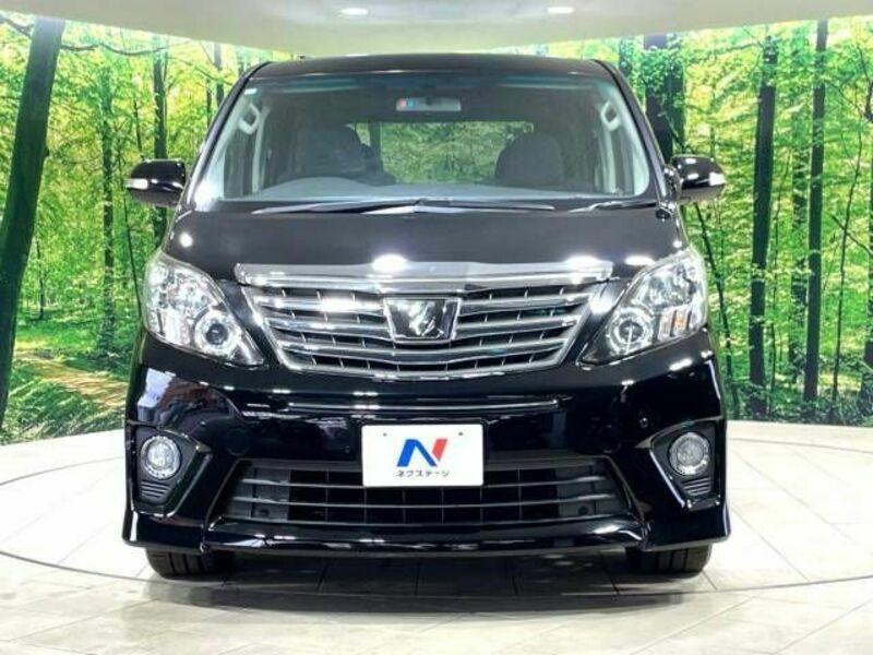 ALPHARD-15