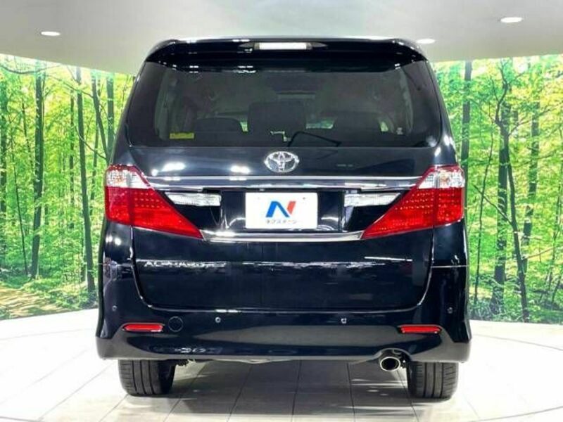 ALPHARD-16