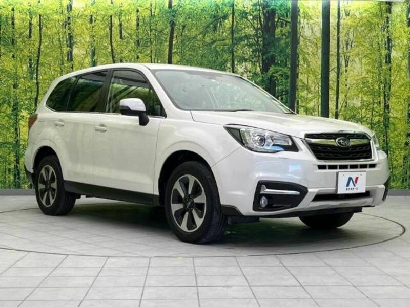 FORESTER-16