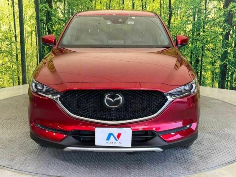 CX-5-13