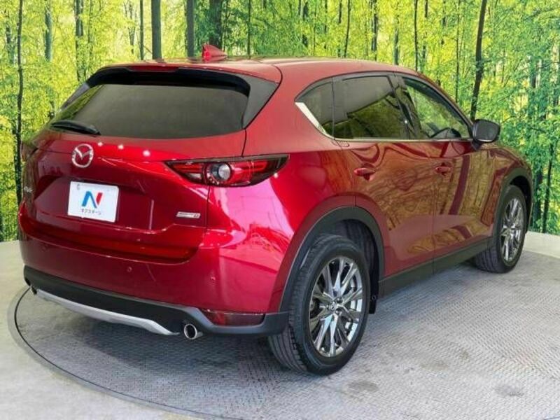 CX-5-16