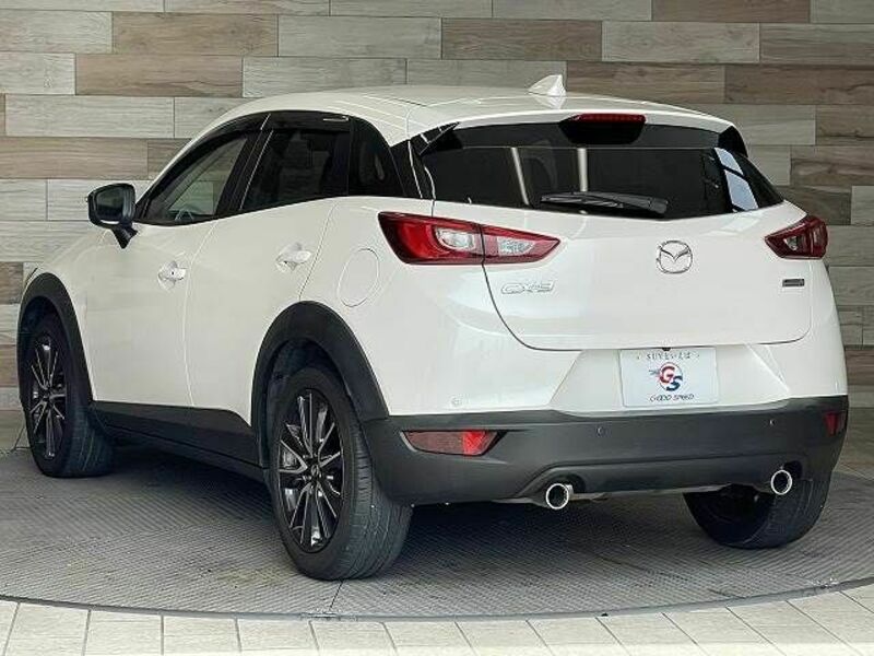 CX-3-16