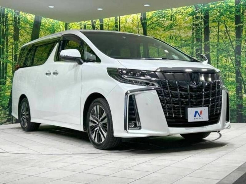 ALPHARD-16