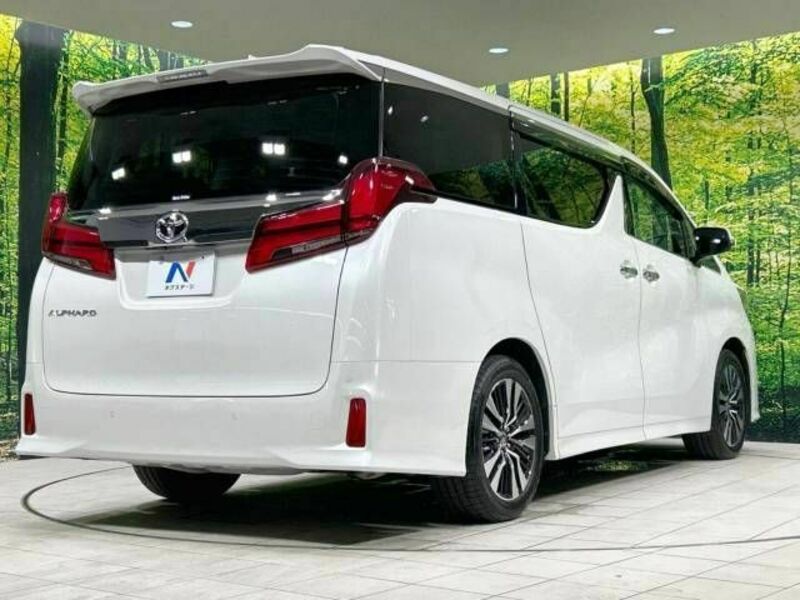 ALPHARD-17