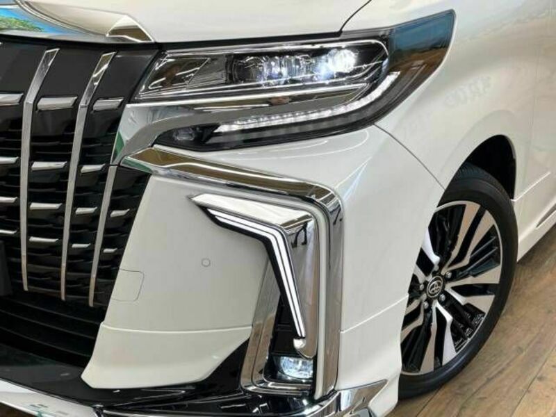 ALPHARD-13