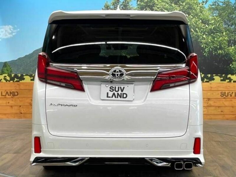 ALPHARD-16