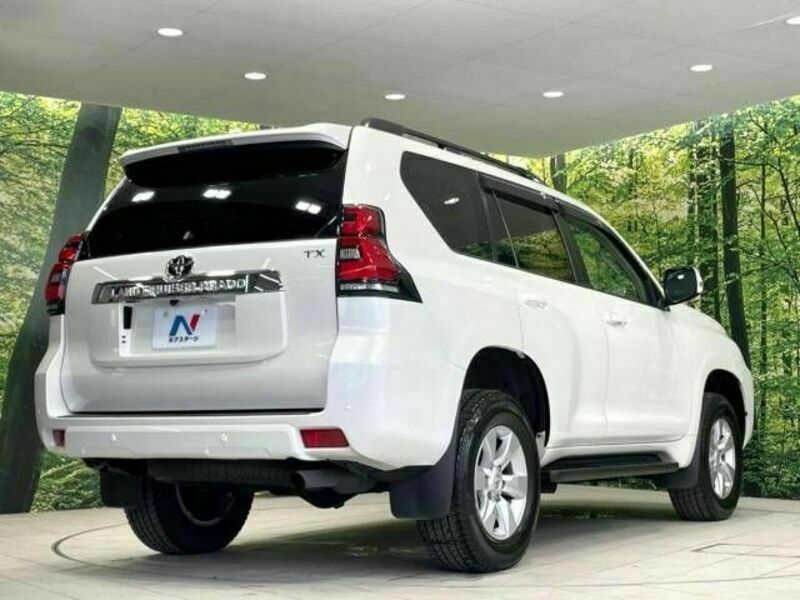 LAND CRUISER PRADO-18