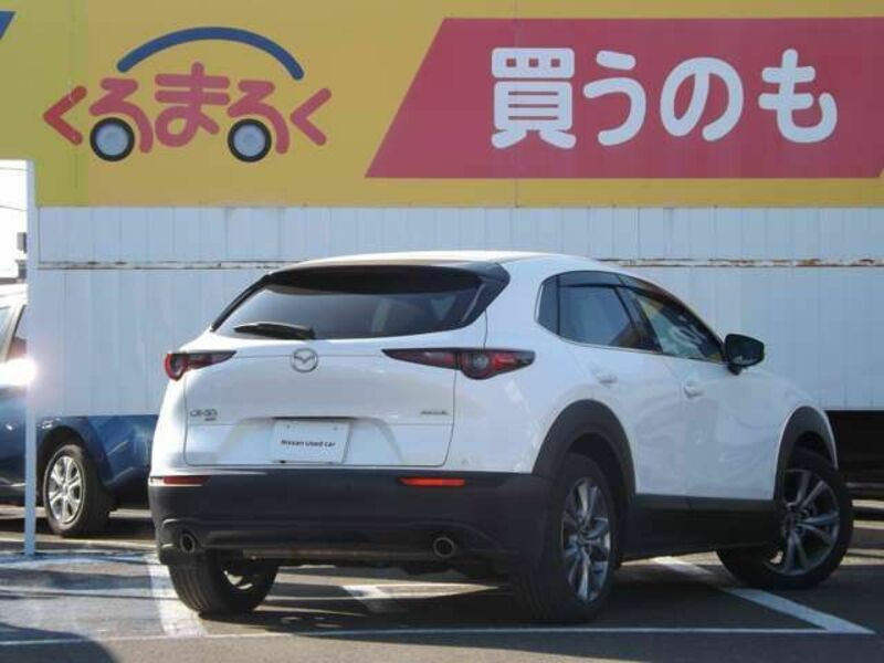 CX-30-1