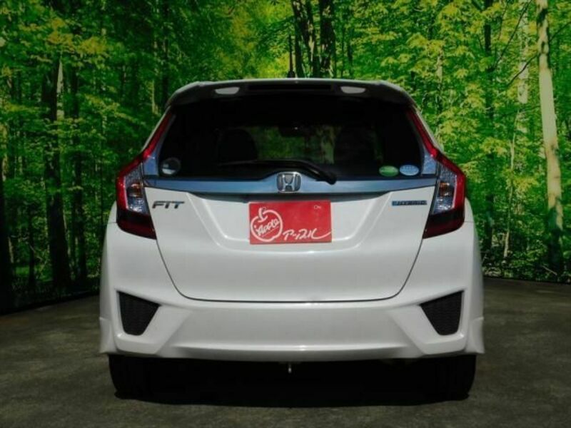 FIT HYBRID-2