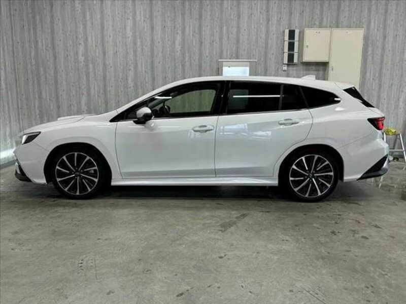 LEVORG-12