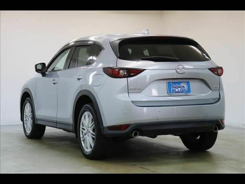 CX-5-19