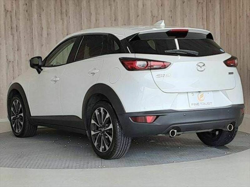 CX-3-19