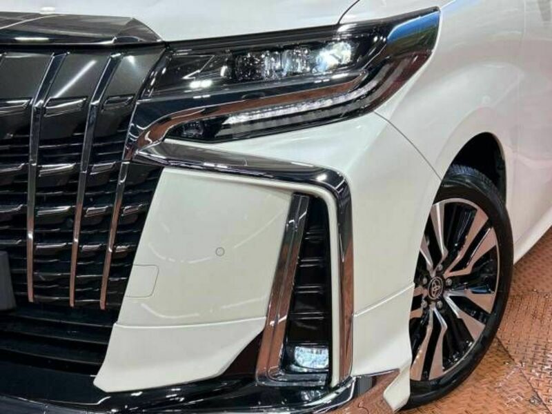 ALPHARD-13